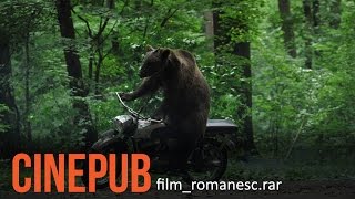 URSUL  Film Romanesc comedie  CINEPUB [upl. by Petra605]