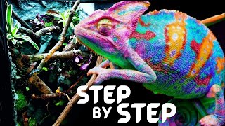 DIY Chameleon Pet Setup  Bioactive Panther Chameleon Setup [upl. by Ahsenrat]