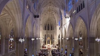 Restoring St Patricks Cathedral [upl. by Nahgeem912]