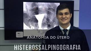 Anatomia do Útero  Histerossalpingografia  Radiologia Prática [upl. by Aicilra190]