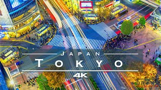 Tokyo Japan 🇯🇵  by drone 4K [upl. by Aleron414]