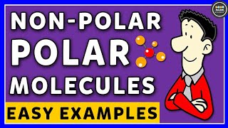 Polar And NonPolar Molecules  Chemistry [upl. by Tita]