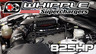 825 HP 29L Stage 2 Whipple Install on a S550 2016 Mustang GT [upl. by Neehs282]