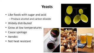 Microorganisms in Food [upl. by Grizelda232]