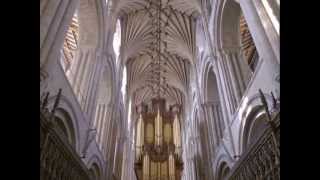 The History of Norwich Cathedral [upl. by Yerfej]