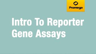 Introduction to Reporter Gene Assays [upl. by Niveb645]