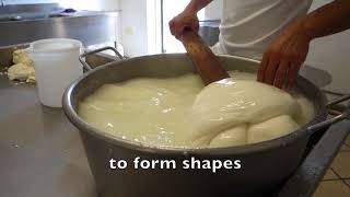 Making Mozzarella and Burrata by Hand in Italy [upl. by Stephen]