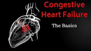 Congestive Heart Failure CHF  Basics Overview [upl. by Robert]