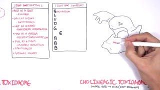 Cholinergic and Anticholinergic Toxicity Toxidrome [upl. by Zared848]