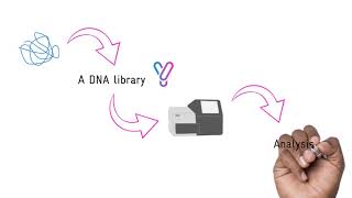 A Beginners guide to Next Generation Sequencing NGS [upl. by Eelanna]