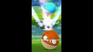 Catching New Hisuian Voltorb amp Shiny Pokémon Dex Entry Pokémongo [upl. by Mihe765]