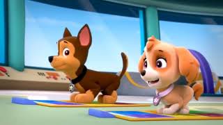 Paw Patrol Pup pup boogie song reversed [upl. by Morville]