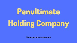 Penultimate Holding Company  Meaning and Example [upl. by Monroe]