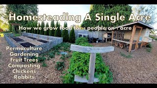 Our 1 Acre Homestead  How We Micro Farm [upl. by Arundell]