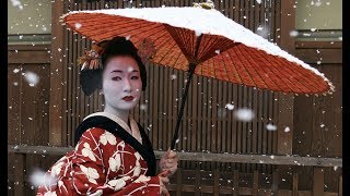 The Secret World Of Geishas [upl. by Ylecara420]