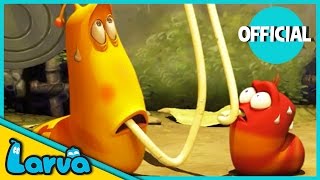 LARVA  THE UFO  Cartoons For Children  LARVA Full Episodes [upl. by Ylreveb117]