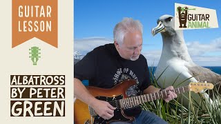 How to Play Albatross by Peter Green Fleetwood Mac  Guitar Lesson [upl. by Larimor986]