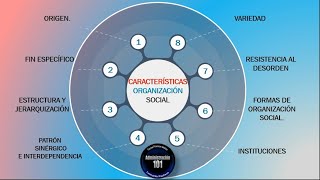 Organizacion Social Concepto Características y Tipos [upl. by Rhines]