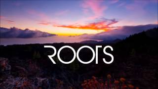 Imagine Dragons  Roots Lyrics [upl. by Pavlish]