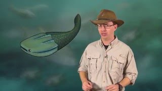 Paleo 103 Early Vertebrate Evolution [upl. by Simonsen374]