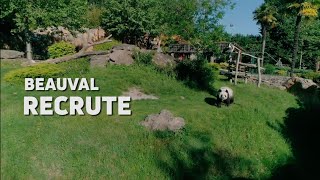 Beauval recrute cet été [upl. by Ephrem]