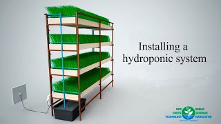 Installing The Hydroponic System [upl. by Ael397]