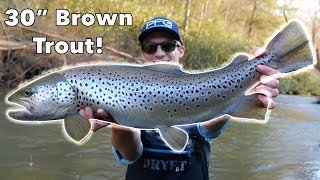 I CAUGHT THE FISH OF A LIFETIME 30  Inch Brown Trout [upl. by Lemaceon]