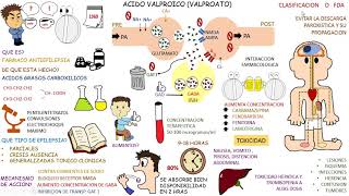 Farmacologia Antiepilepticos VALPROATO [upl. by Savitt]