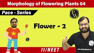 Morphology of Flowering Plants 04  Flower 02  Class 11  NEET  Pace Series [upl. by Fraze]