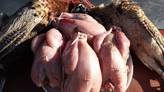 How To Prepare And Cook A PheasantPart 1 Bird Preparation [upl. by Francisca]