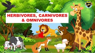 Herbivores  Carnivores  Omnivores  Types of Animals [upl. by Island]