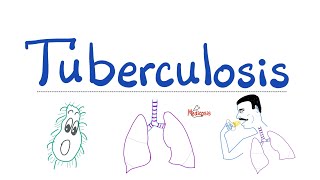 Tuberculosis TB  The Most Comprehensive Explanation  Respiratory Pathology  Pulmonology Series [upl. by Decrem]