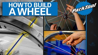 How To Build A Bicycle Wheel [upl. by Miett]