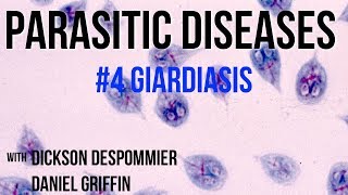 Parasitic Diseases Lectures 4 Giardiasis [upl. by Nnylyahs]