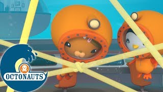 Octonauts  Le net  Dessins animés pour enfants [upl. by Flosser]