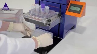 How to Isolate Pure Microglia  Video Protocol [upl. by Nylcoj582]