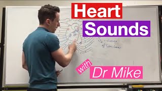 Heart Sounds amp Surface Anatomy  Cardiology [upl. by Kcim180]