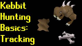 Basic Kebbit Hunting Guide 2019 OSRS [upl. by Lasyrc]