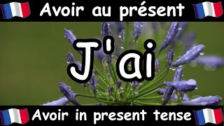 AVOIR To Have Conjugation Song  Present Tense  French Conjugation  Le Verbe AVOIR [upl. by Libbi]