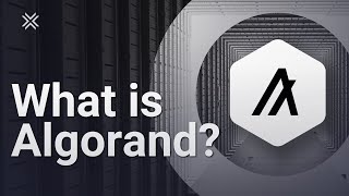 What is Algorand ALGO [upl. by Anali]