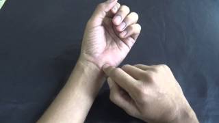 WRIST JOINT  MOVEMENTS [upl. by Bartosch]