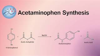 Acetaminophen Synthesis Mechanism  Organic Chemistry [upl. by Thielen]