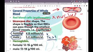 Blood Part 1 Oral Pathology  Zagazig University [upl. by Erbas974]