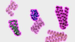 How SDS Works Life Sciences Outreach Harvard University [upl. by Ahsin]