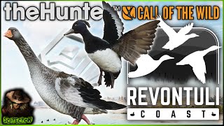 Diamond Tufted Duck amp Greylag Goose On The New Map Revontuli Coast Call of the wild EARLY ACCESS [upl. by Adamec628]