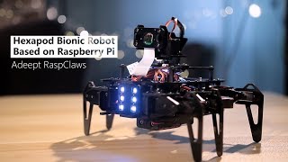 Hexapod bionic robot based on Raspberry Pi [upl. by Annahs]