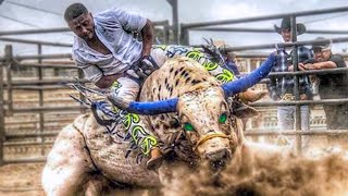 10 Most Dangerous Bulls of Rodeo History [upl. by Fredra]