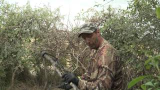 The dove bow hunter [upl. by Nolad]