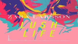 Zara Larsson  Lush Life Official Instrumental [upl. by Ennayelsel60]