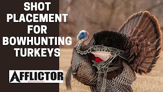 Proper Shot Placement For BOWHUNTING Turkeys [upl. by Nethsa]